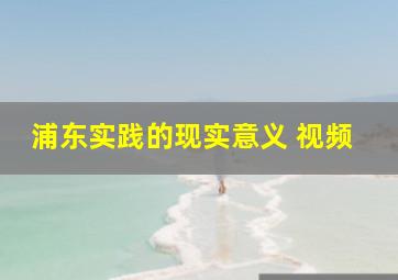 浦东实践的现实意义 视频